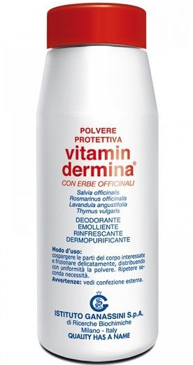 VITAMINDERMINA POLV PROT 100G