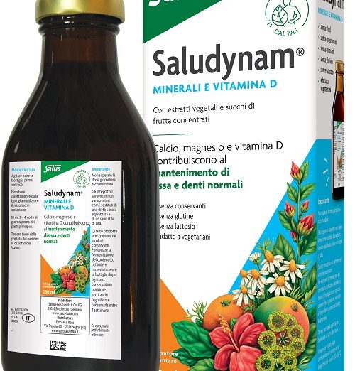 SALUDYNAM 250ML