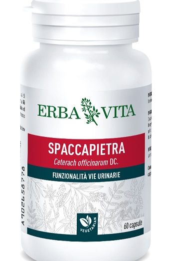 SPACCAPIETRA 60CPS 300MG