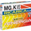 MGK VIS RIC PLUS 14BUST