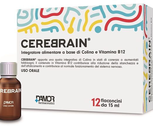 CEREBRAIN 12FL 15ML