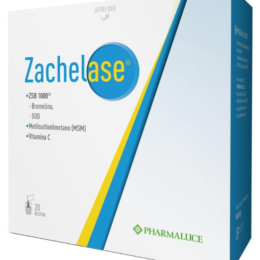 ZACHELASE 20BUST