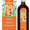 OLIVELLO SPINOSO VITAL SCIR