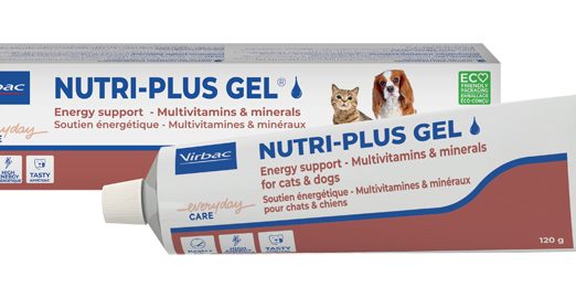 NUTRIPLUS GEL PASTA ORALE 120G