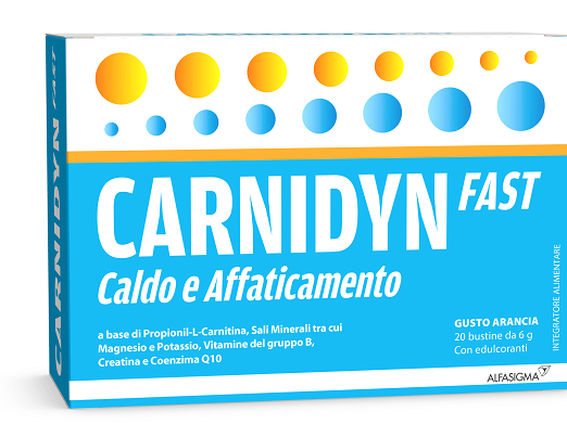 CARNIDYN FAST 20BUST