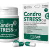 CONDROSTRESS + CAT 30CPS VF
