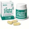 CONDROSTRESS+ 30CPR MASTIC