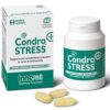 CONDROSTRESS+ 90CPR MASTIC