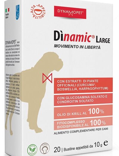 DINAMIC LARGE 20BUST 10G