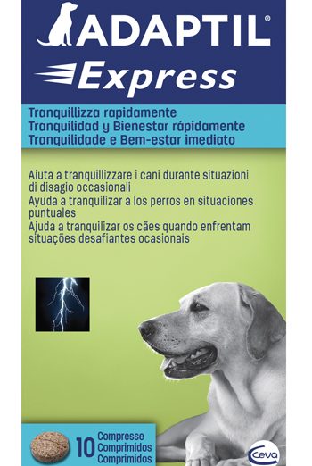 ADAPTIL EXPRESS 10CPR