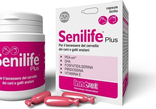 SENILIFE PLUS 30CPS
