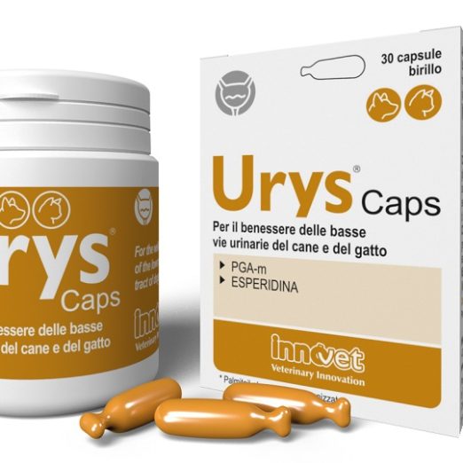 URYS CAPS 30CPS