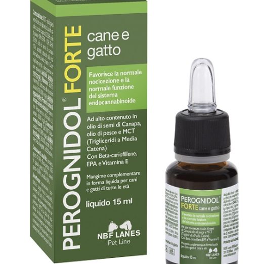 PEROGNIDOL FORTE 15ML