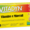 VITADYN VITAMINE/MIN 40CPR EFF