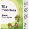 TILIA TOMENTOSA BOIRON MG 60ML