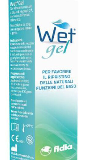 WET GEL 20G