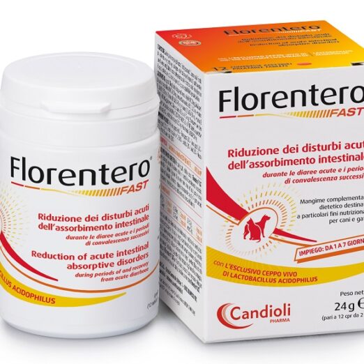 FLORENTERO FAST 12CPR