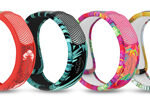 PARAKITO EFAS BRACC GRAF JUN P