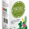 PUNTUALE 60CPR