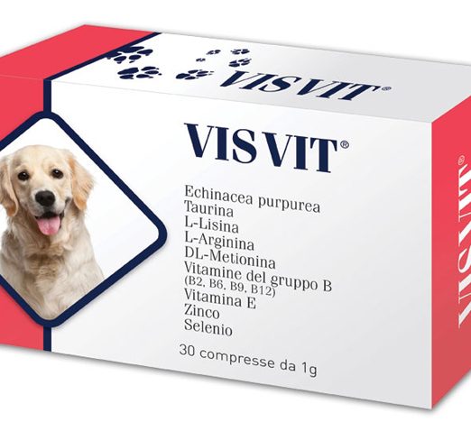 VISVIT 30CPS 1G