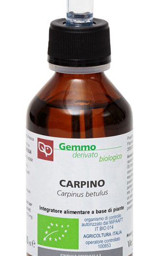 CARPINO MG 100ML BIO