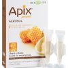 APIX AEROSOL 10FIALE MONODOSE