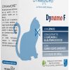 DYNAMO F GATTI 20BUST APPETIBI