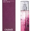 THE' DES VIGNES ACQ FRESCA50ML