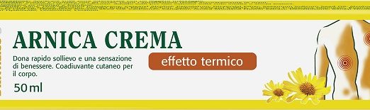 THEISS ARNICA POM RISCALD 50G