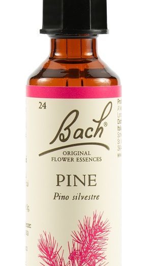 PINE BACH ORIG 20ML