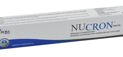 NUCRON PASTA 15G