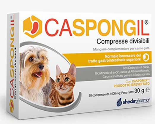 CASPONGIL 30CPR DIVISIBILI