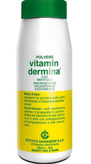 VITAMINDERMINA POLV MENT 100G