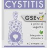 GSE CYSTITIS 60CPR
