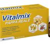 VITALMIX PAPPA REALE 10FL