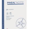 PINEAL NOTTE 24CPR