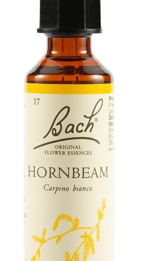 HORNBEAM BACH ORIG 20ML
