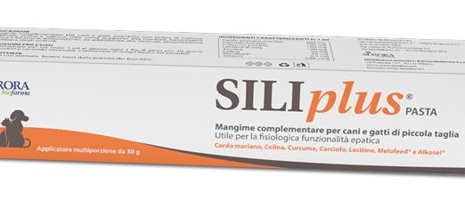 SILIPLUS PASTA 30G