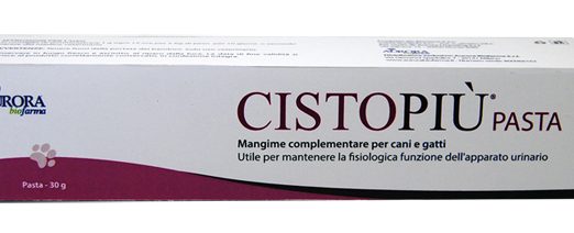 CISTOPIU' PASTA 30G
