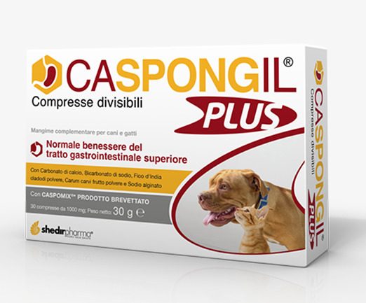 CASPONGIL PLUS 30CPR